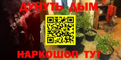 альфа пвп Заводоуковск