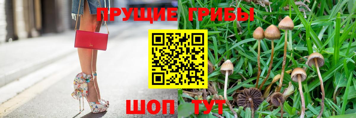 Каменск-Уральский  где купить наркоту  Вход с VPN  Псилоцибиновые грибы Magic Shrooms 